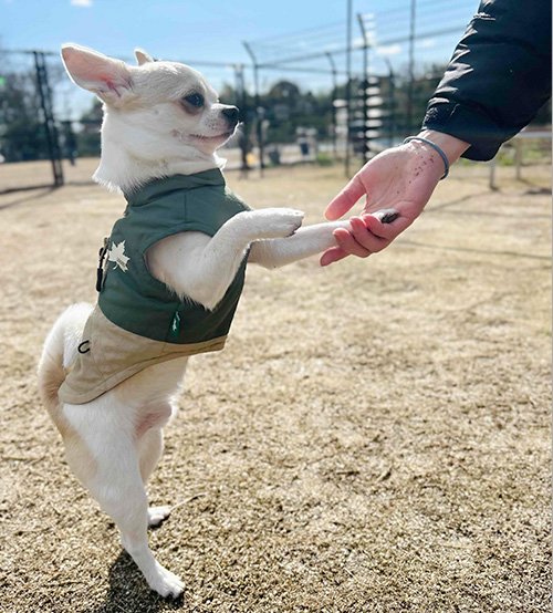 ワンちゃんとご家族の幸せを目指して