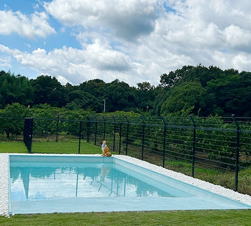 広大なドッグランとプール